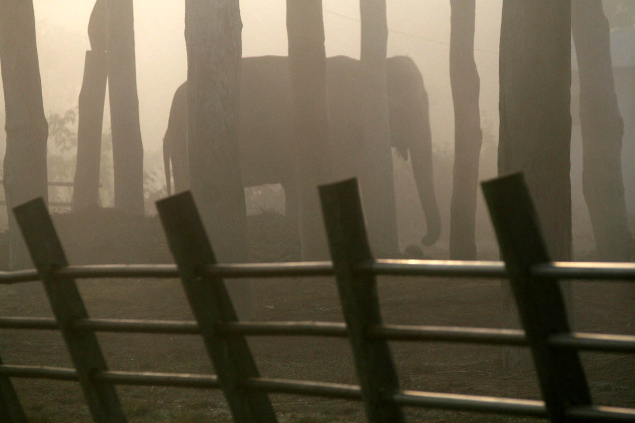 Chitwan, Nepal