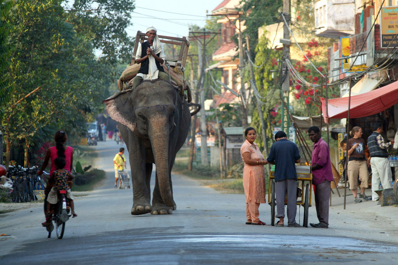 Chitwan, Nepal