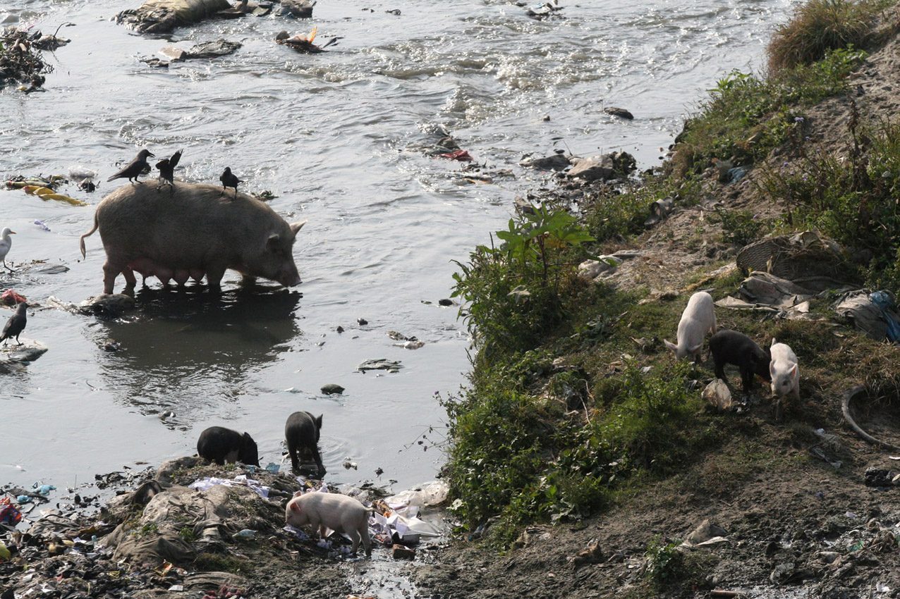 Bishnumati, Kathmandu, Nepal