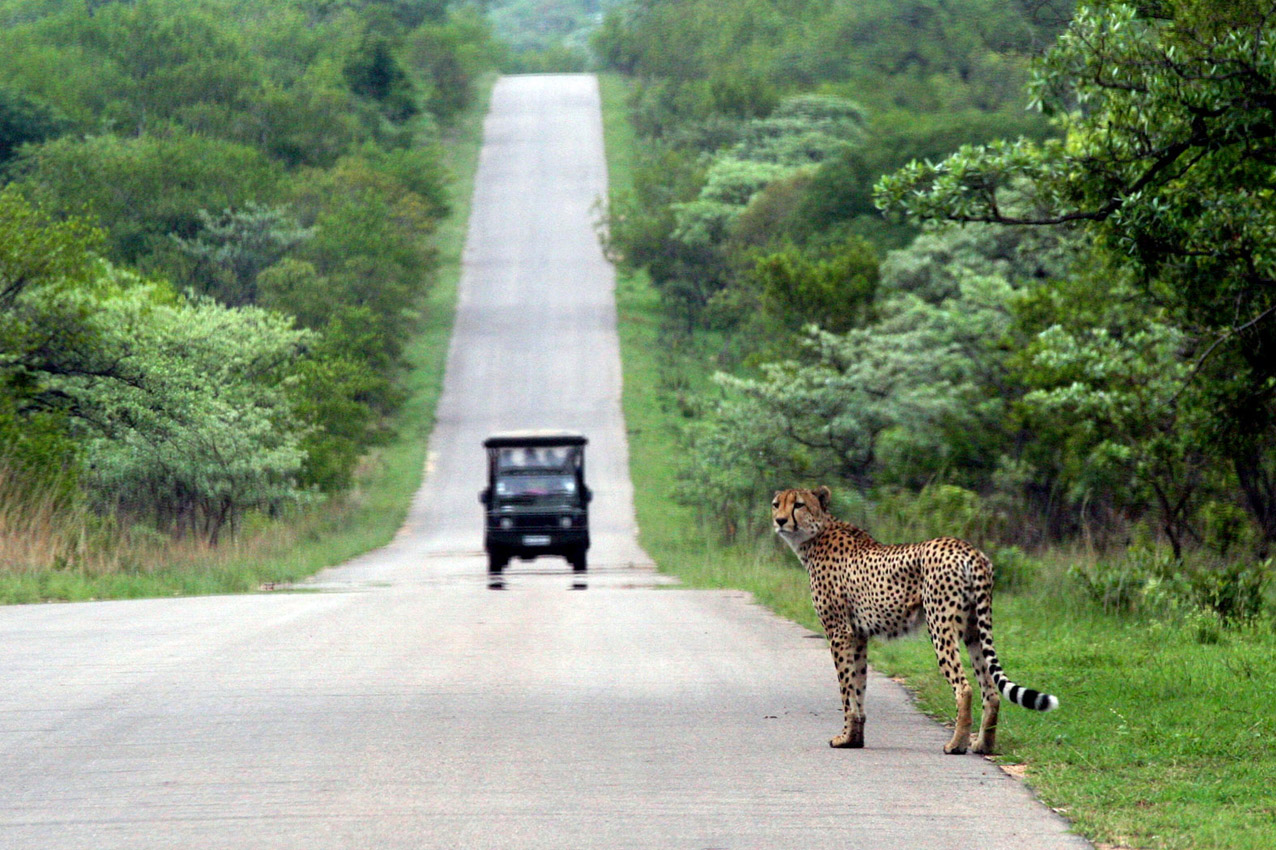 Kruger Park, RPA