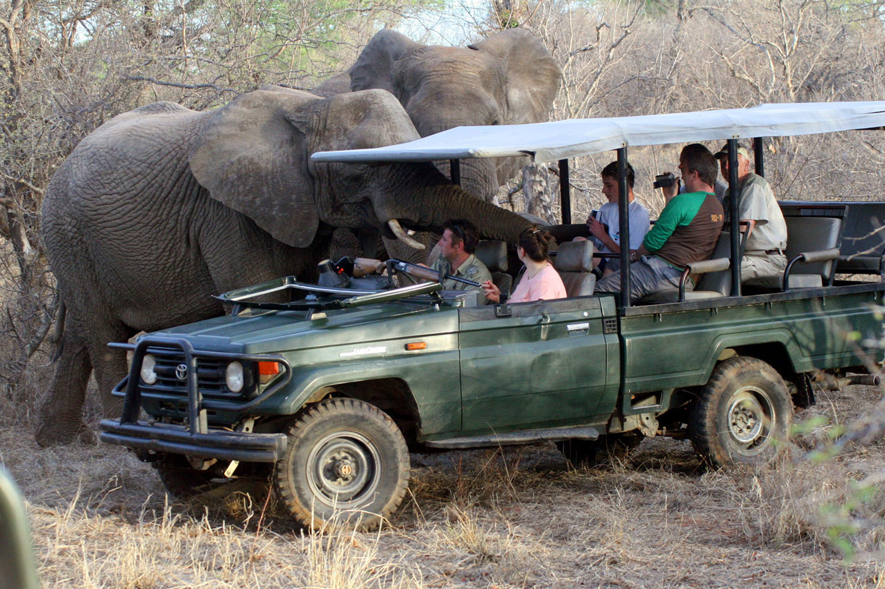 Kruger Park, RPA