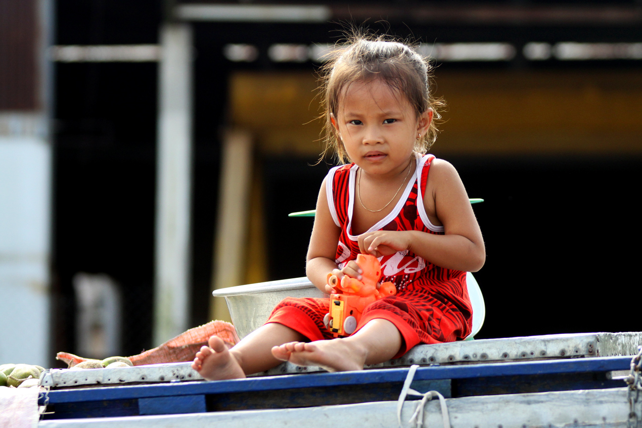 Delta Mekong